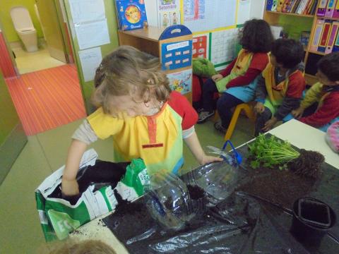 Crianças do pré escolar a plantar e semear as ervas aromáticas.